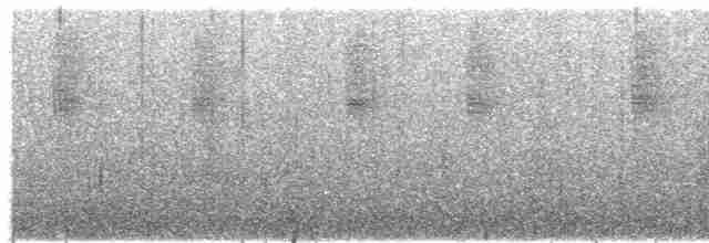 Колібрі плямистоволий - ML594873671