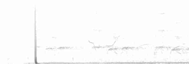 灰胸竹雞 - ML594885551