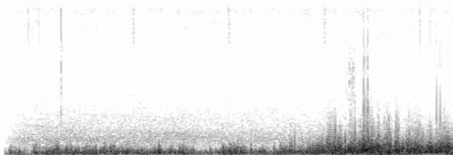 דוחל שחור-גרון - ML594900421