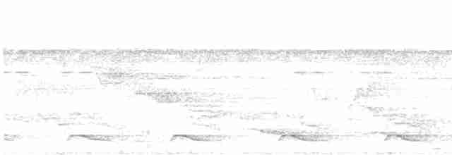 Lacivert Kuyruklu Trogon - ML594914171