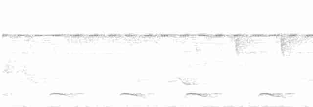 Lacivert Kuyruklu Trogon - ML594914181