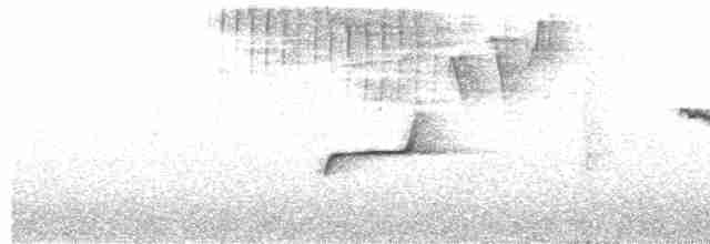 Кіптявник смугастогорлий - ML594920911
