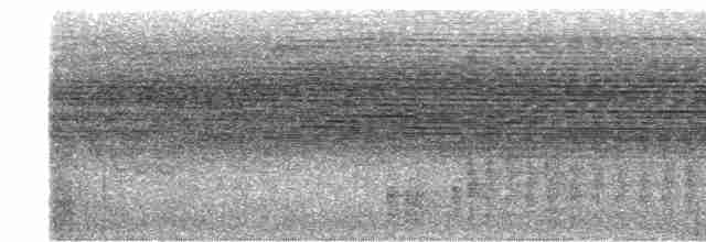 Белоухий крапивник - ML594950121