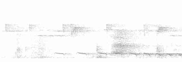 White-tailed Trogon - ML594998231