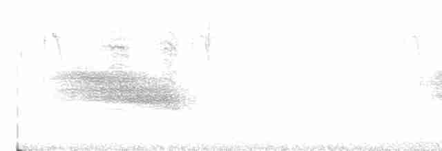 European Greenfinch - ML595003031
