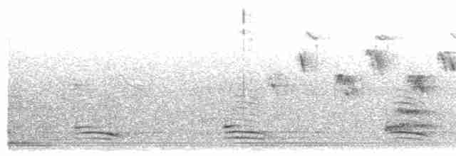 Ibis nippon - ML595016461