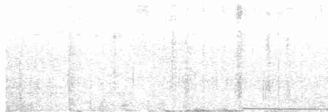 Roitelet huppé (azoricus) - ML595017931