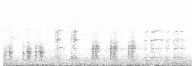 Great Reed Warbler - ML595022931