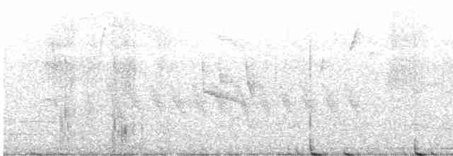 オオハシノスリ（magnirostris グループ） - ML595064411