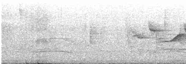 Серогорлая гранателла - ML595064451