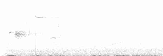 Дрізд-короткодзьоб Cвенсона - ML595078301