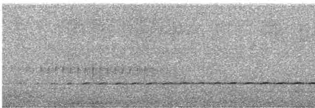 Spotted Quail-thrush - ML595149621