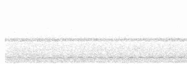 Short-tailed Antthrush - ML595151251