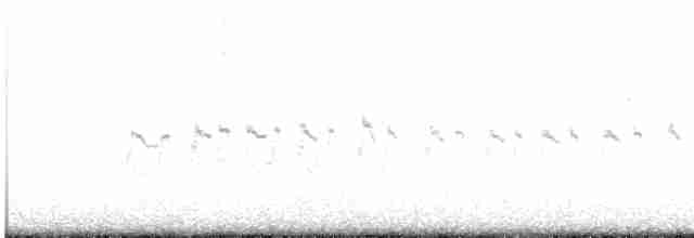 Little Tern - ML595153111