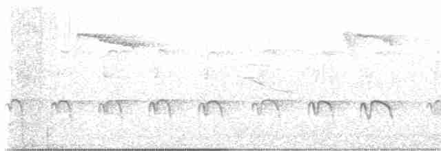 Eurasian Oystercatcher - ML595163291
