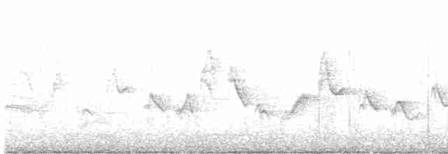 Warbling Vireo (Eastern) - ML595222201
