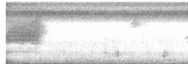 Istmus Çıtkuşu - ML595224531