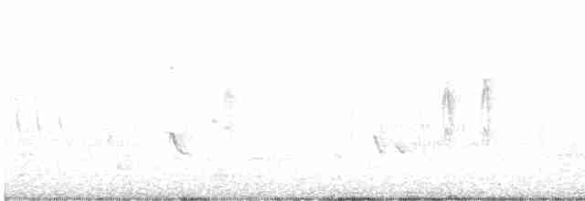 Kuliska hankahori txikia - ML595225361