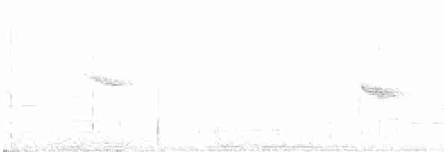 Bicknell Bülbül Ardıcı - ML595231461
