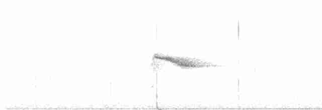 Дрізд-короткодзьоб канадський - ML595233641