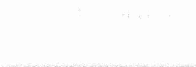 Kara Gözlü Junko (hyemalis/carolinensis) - ML595234411