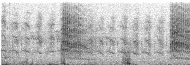 Дятел-смоктун сосновий - ML595244861