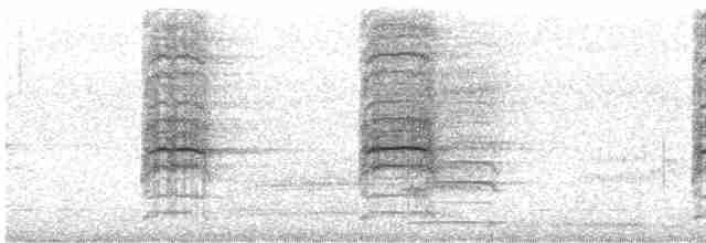 Какатоїс буроголовий - ML595269741