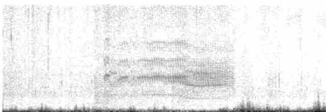 Common Tern - ML595275441