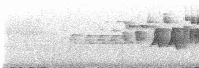 Batı Amerika Sinekkapanı (occidentalis/hellmayri) - ML595284611
