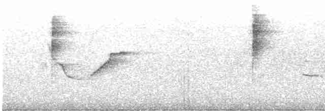 Batı Amerika Sinekkapanı (occidentalis/hellmayri) - ML595284631