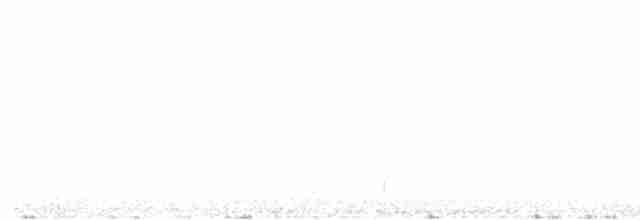 Long-tailed Meadowlark - ML595285441