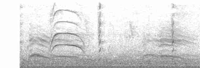 Сероголовая чайка - ML595292371