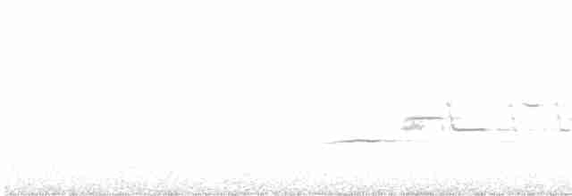 Münzevi Bülbül Ardıcı - ML595296061