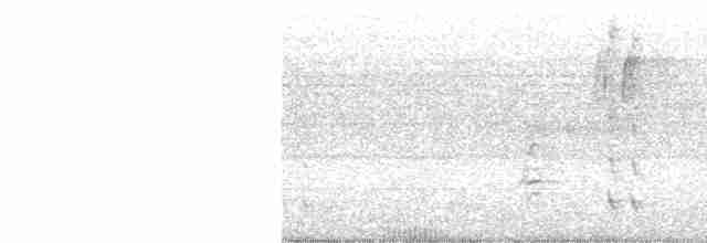 Yakut Boğazlı Kolibri - ML595354601