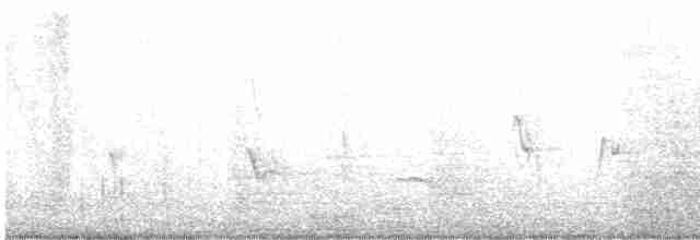 Кропив’янка рудогуза - ML595399791