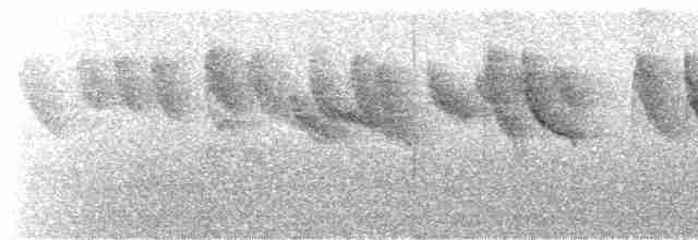Anteojitos de Swinhoe - ML595404501