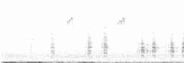 Great Reed Warbler - ML595425491