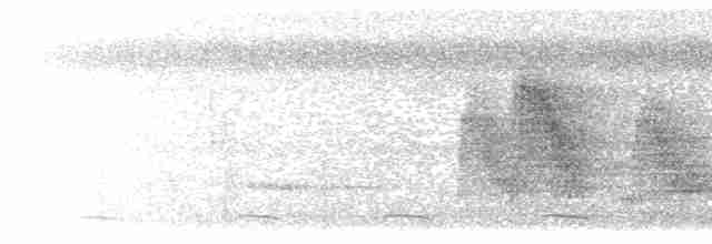 Черношапочный шелкопёр - ML595441461