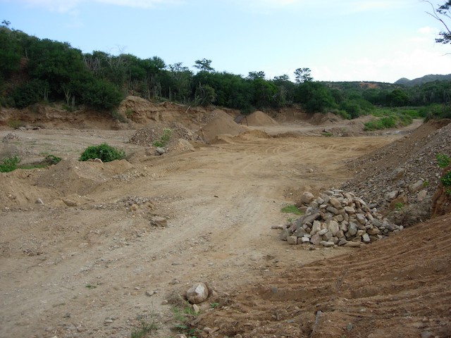 Habitat destruction due to sand mining is widespread in Venezuela; Nueva Esparta, Venezuela. - Vermilion Cardinal - 