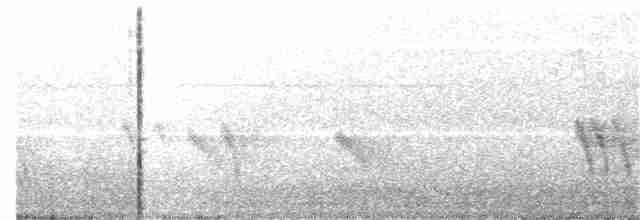 Щурик пурпуровий (підвид subis/arboricola) - ML59547211