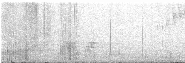 Тасманийский ворон - ML595485181
