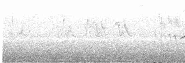 Трав’янка сіра - ML595485451