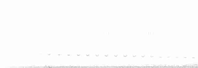 svartbørstepanne - ML595488911