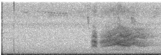 裏海燕鷗 - ML595500641