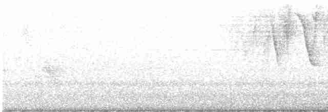 Zuckervogel - ML595504011