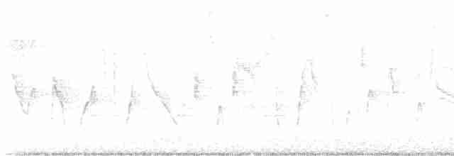 Трясогузковый певун - ML595504391