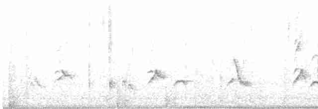 Gray Catbird - ML595508521
