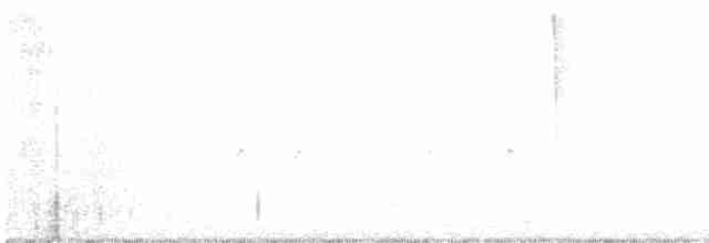 Шишкар ялиновий - ML595521101
