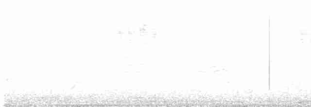 Gray Catbird - ML595547771
