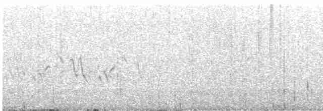 Common Yellowthroat - ML595577711